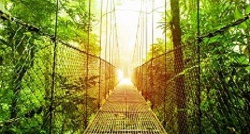 De inheemse bevolking