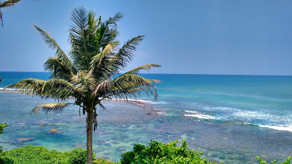 Zon, zee en strand in overvloed