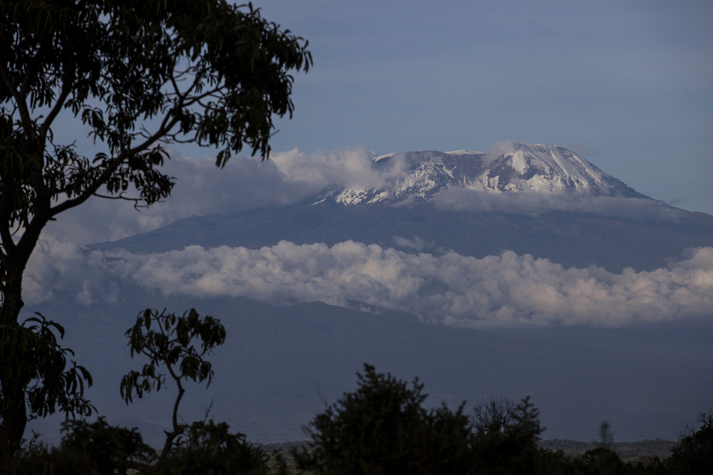 Kilimanjaro
