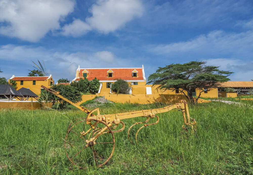 Geldzaken En Betaalgewoonten Curaçao | Gwk Travelex