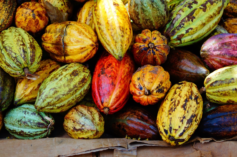 Lekker eten en drinken