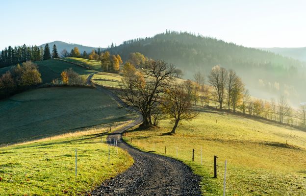 Pracht van de Poolse natuur