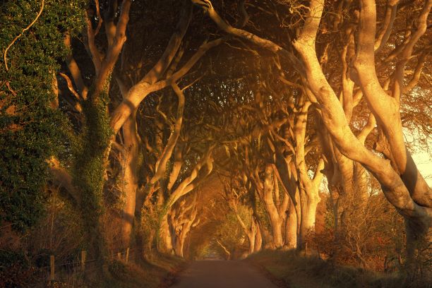 Natuurschoon op z’n mooist